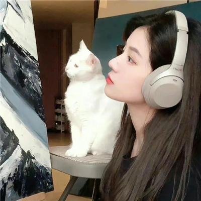 戴洛奇小镇第一季