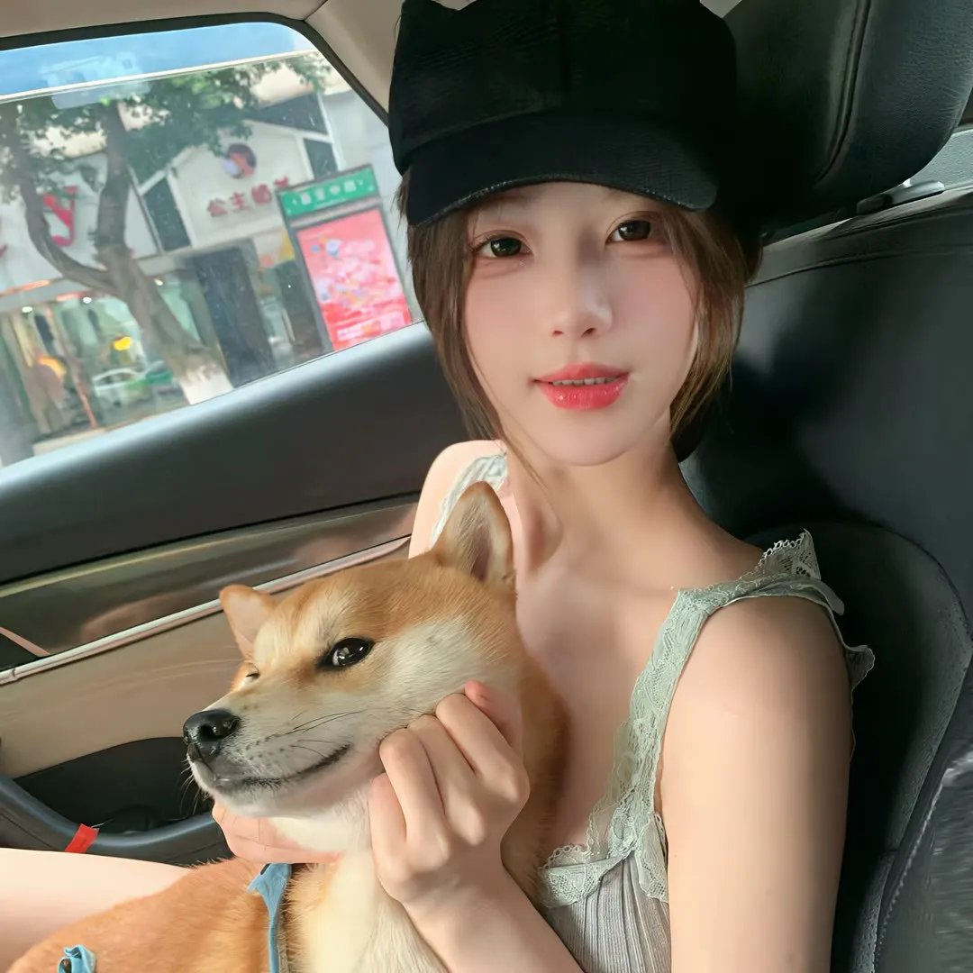 大象之梦